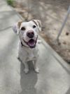 Micah - 24033 photo 1