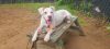 Micah - 24033 photo 3