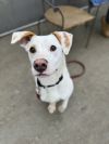 Micah - 24033 photo 5