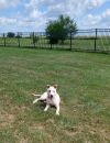 Athena (Iowa) photo 3