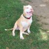 Calypso (Iowa) photo 4