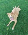 Fauna (Iowa) photo 2