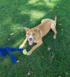 Fauna (Iowa) photo 3