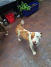 Bigby photo 2