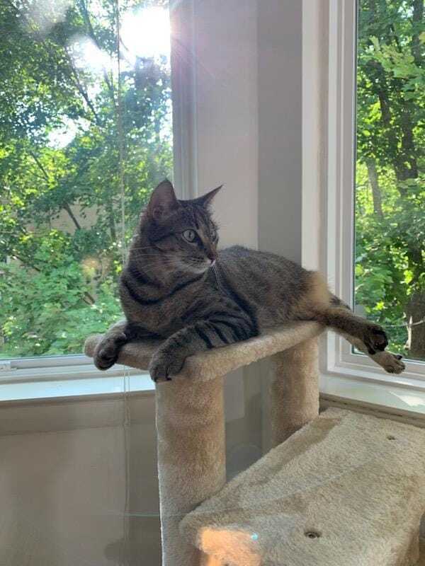 Sammie