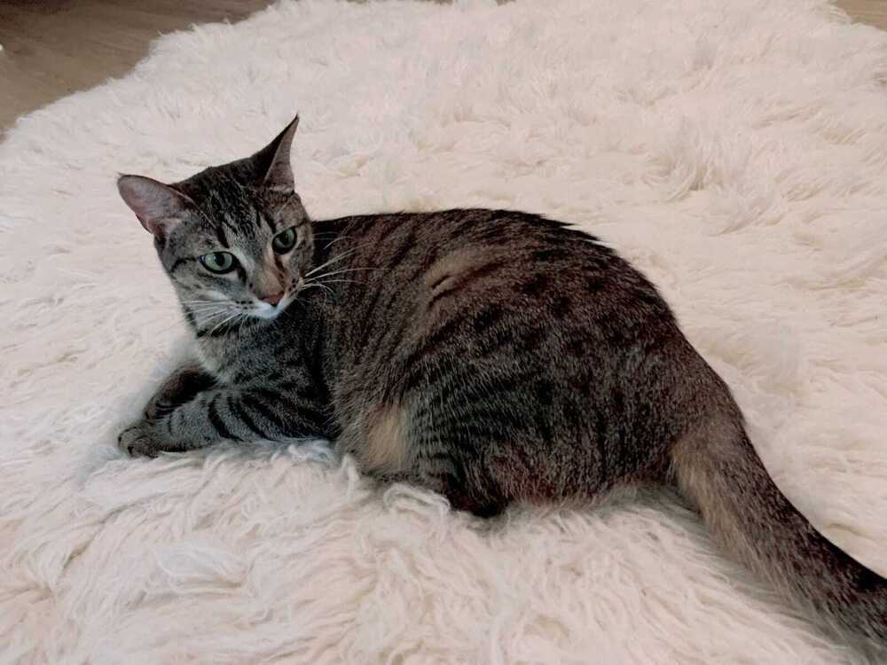 Sammie