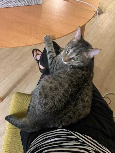 Sammie