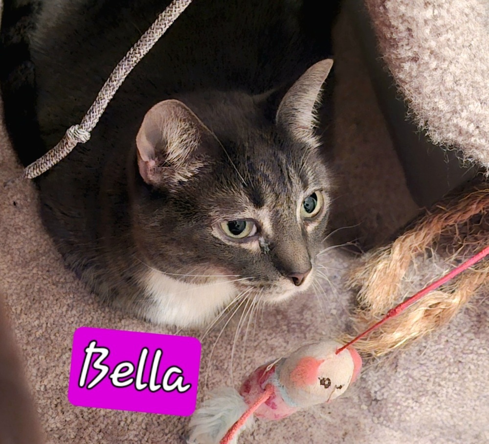 Bella.