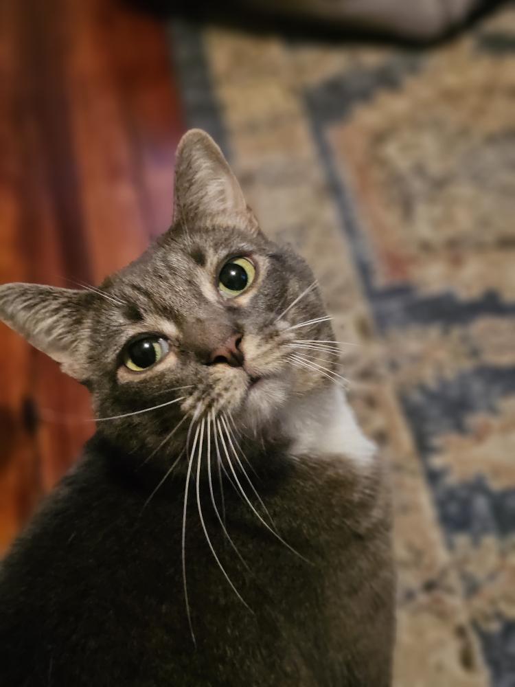 Bella.