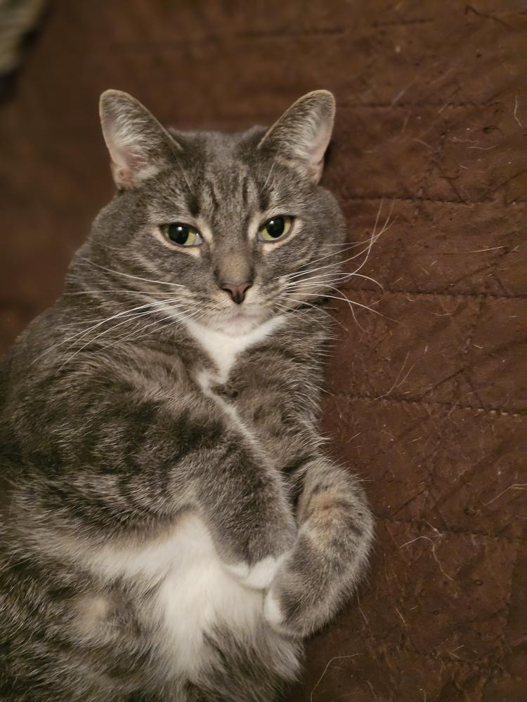 Bella.