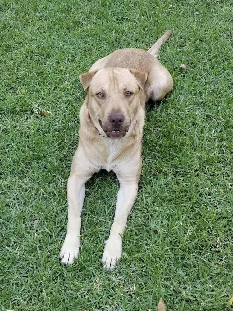 Zuko