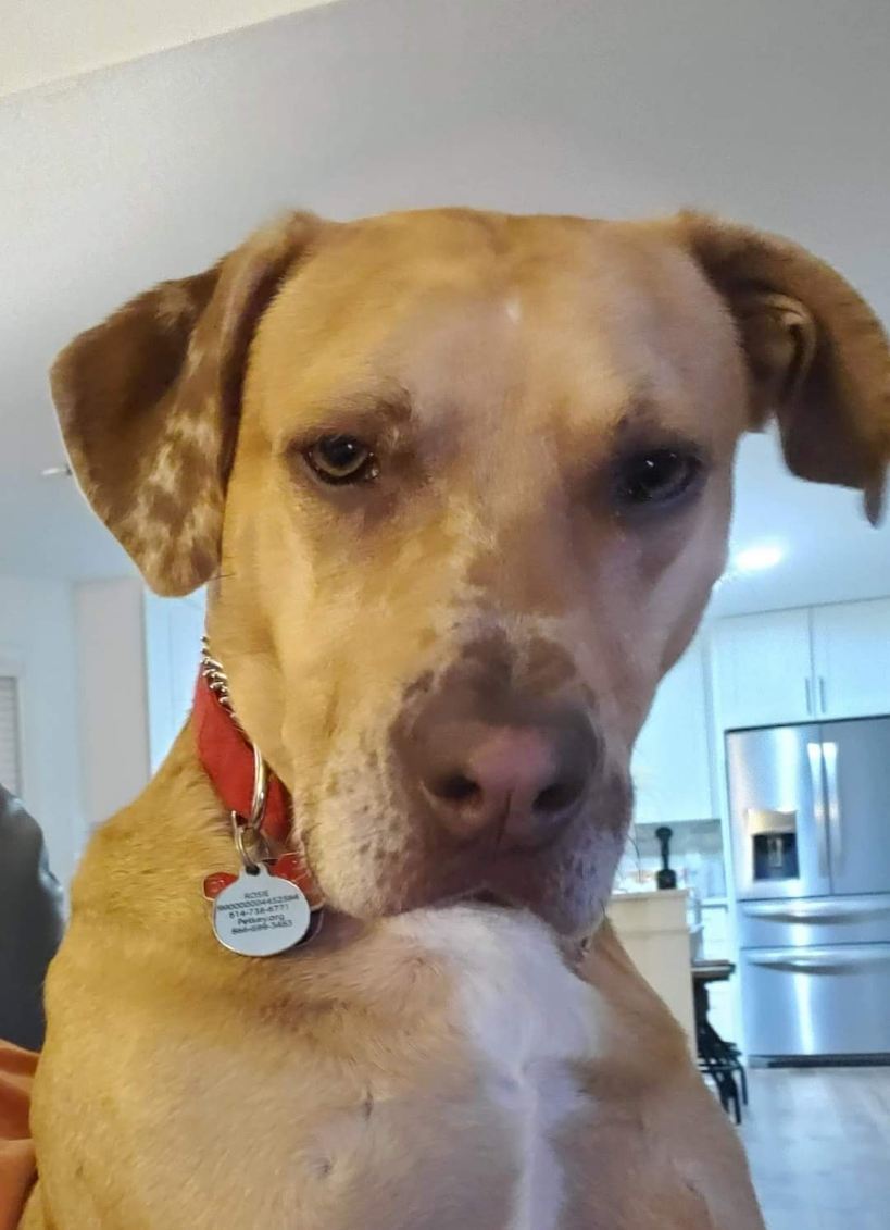 Rosie
