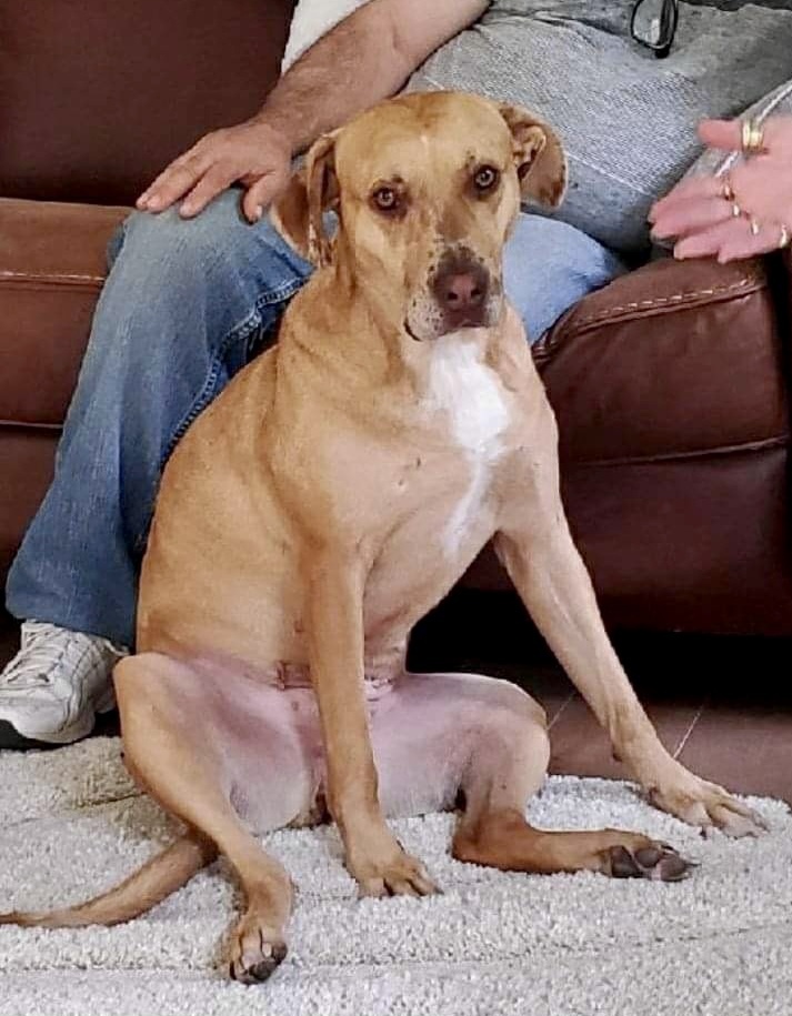 Rosie