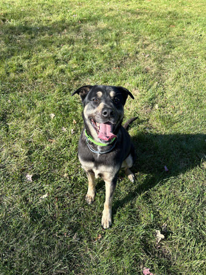 Jax
