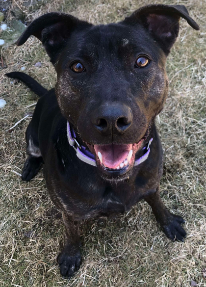 Fiona