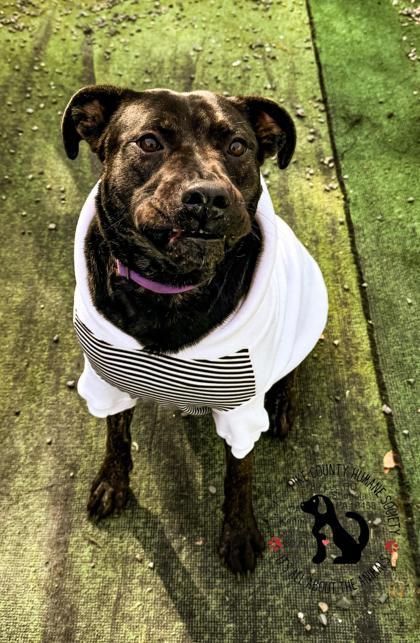 Fiona