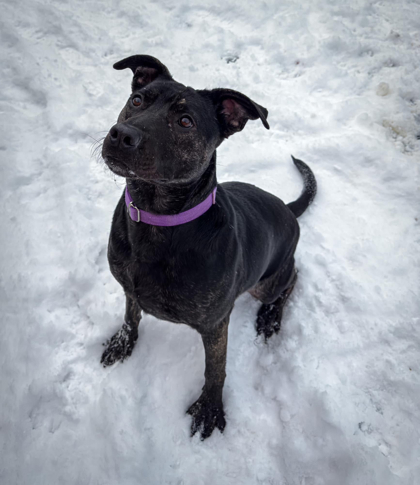 Fiona