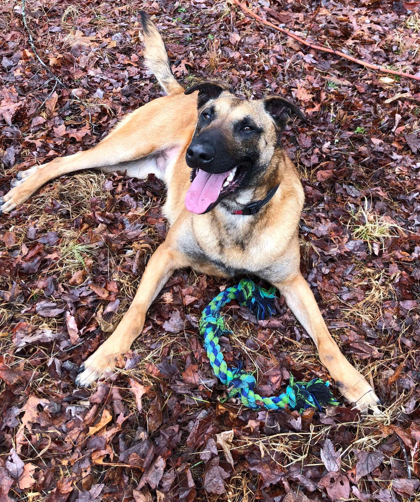 Blu