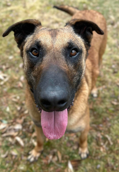 Blu