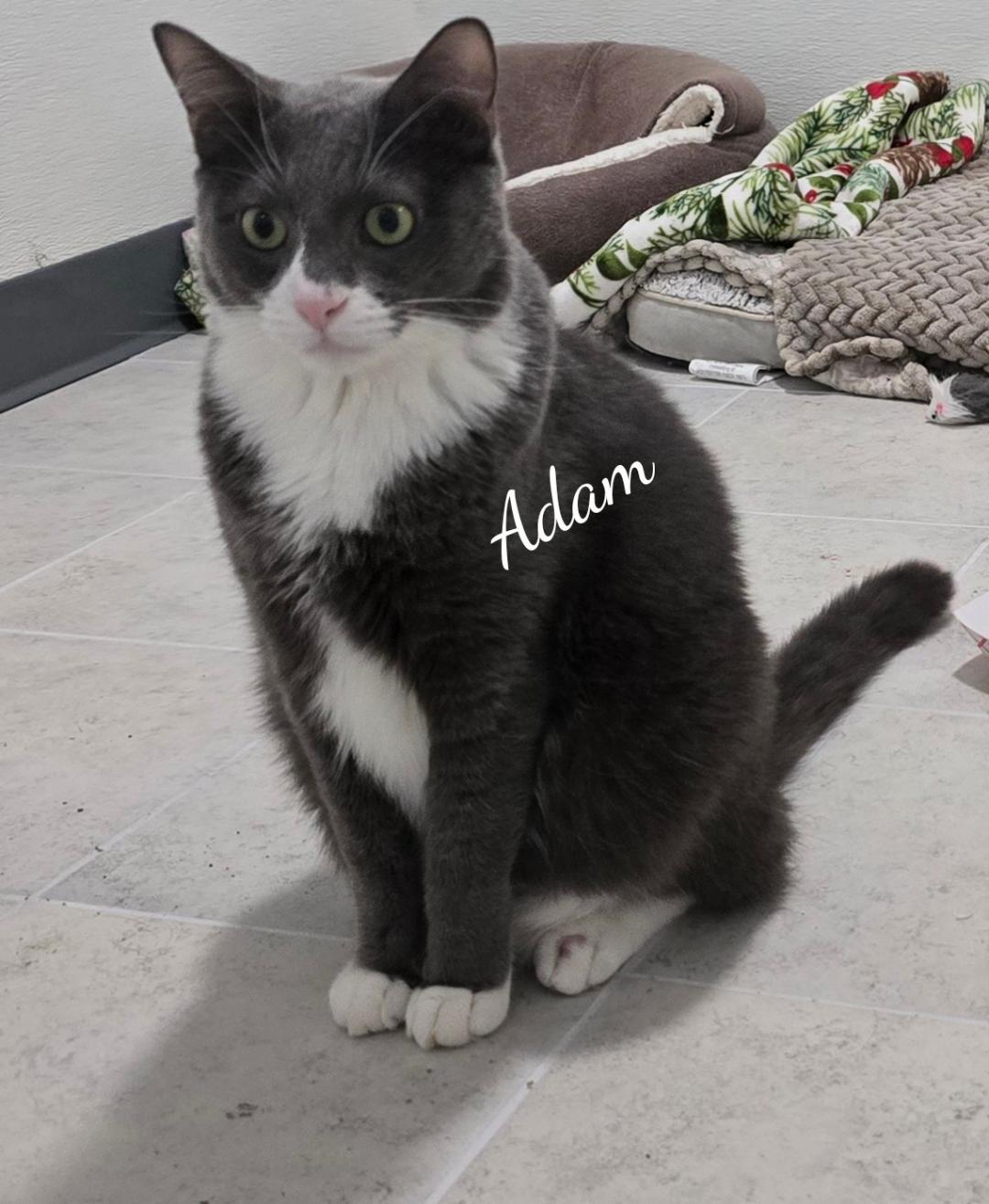 Adam