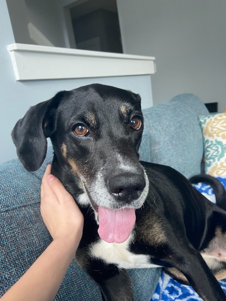 Maggie