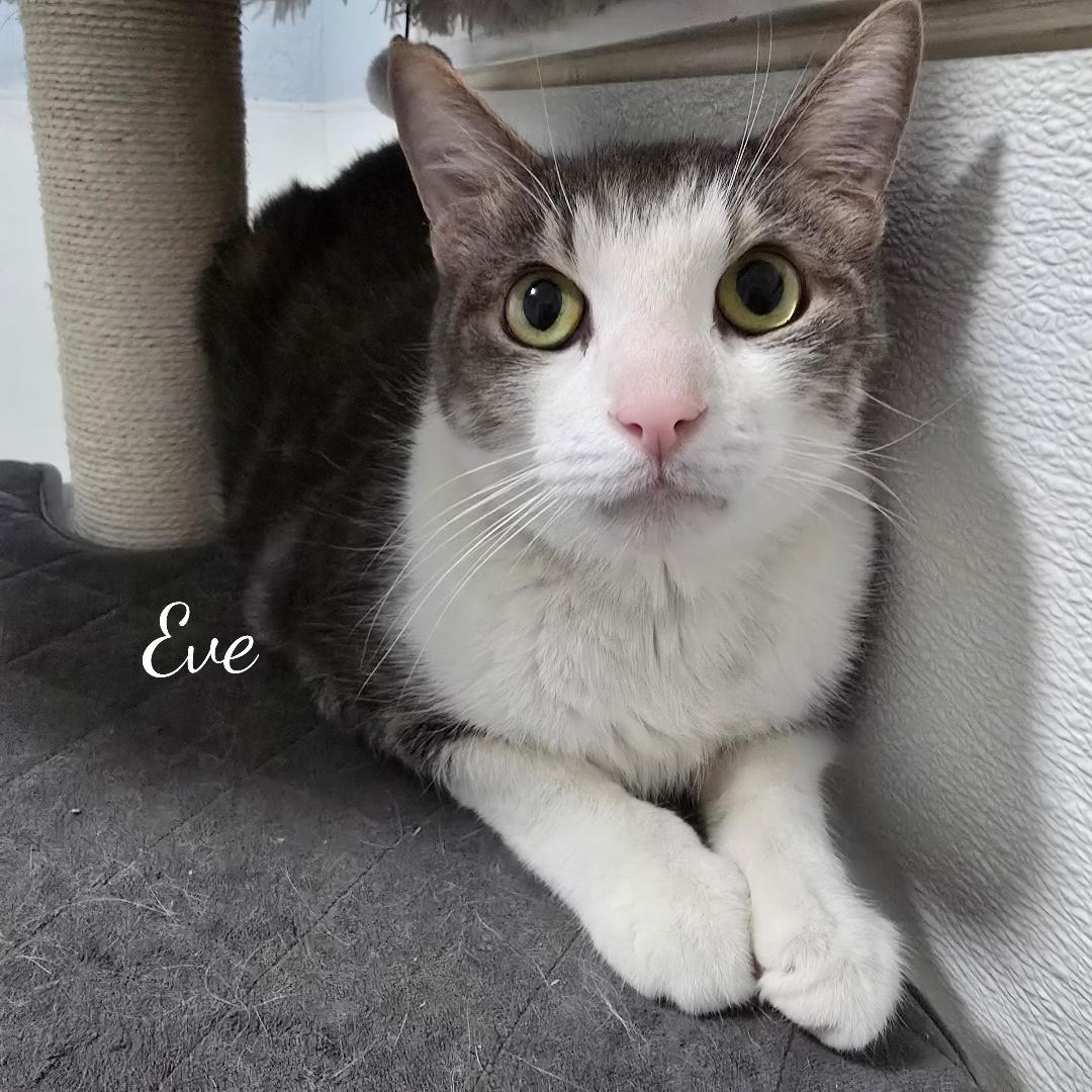 Evan