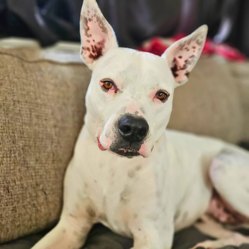 Max