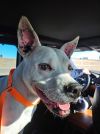Max photo 6