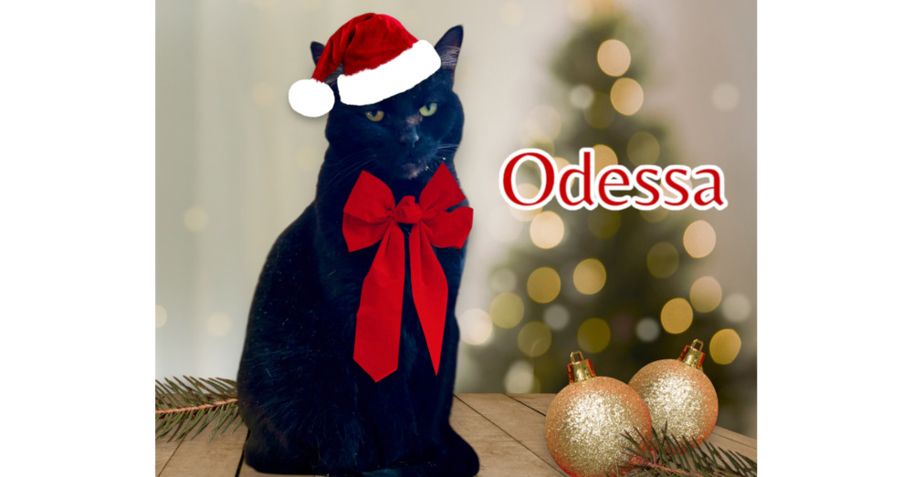 Odessa
