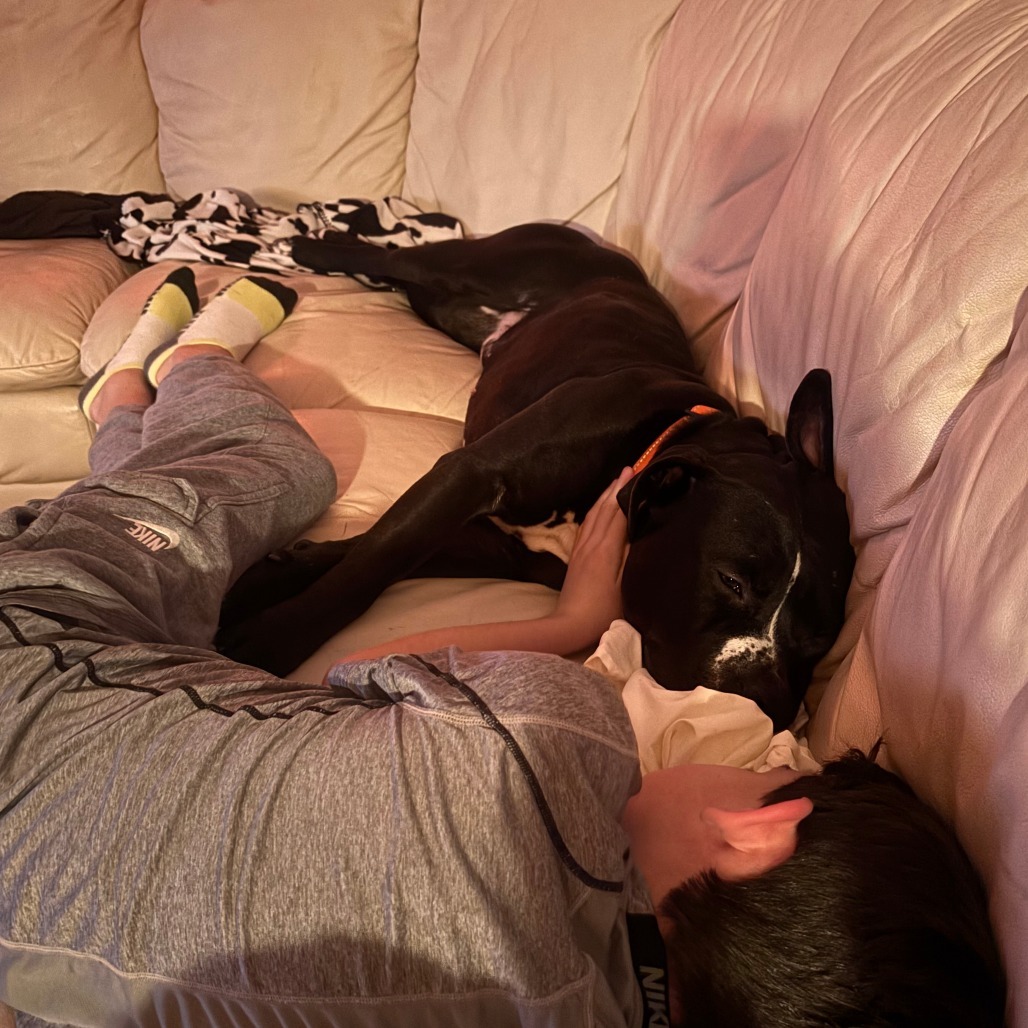 Chip (In Foster)