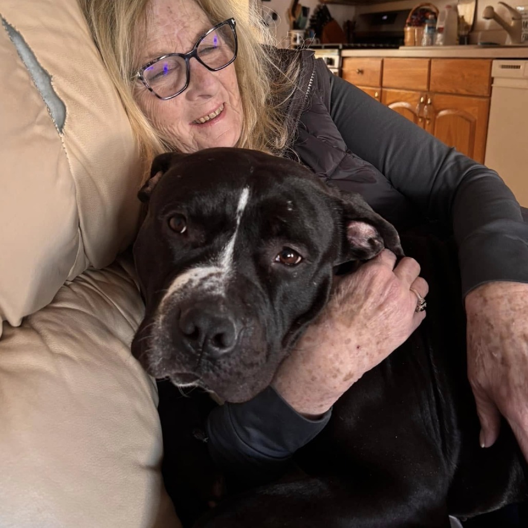 Chip (In Foster)