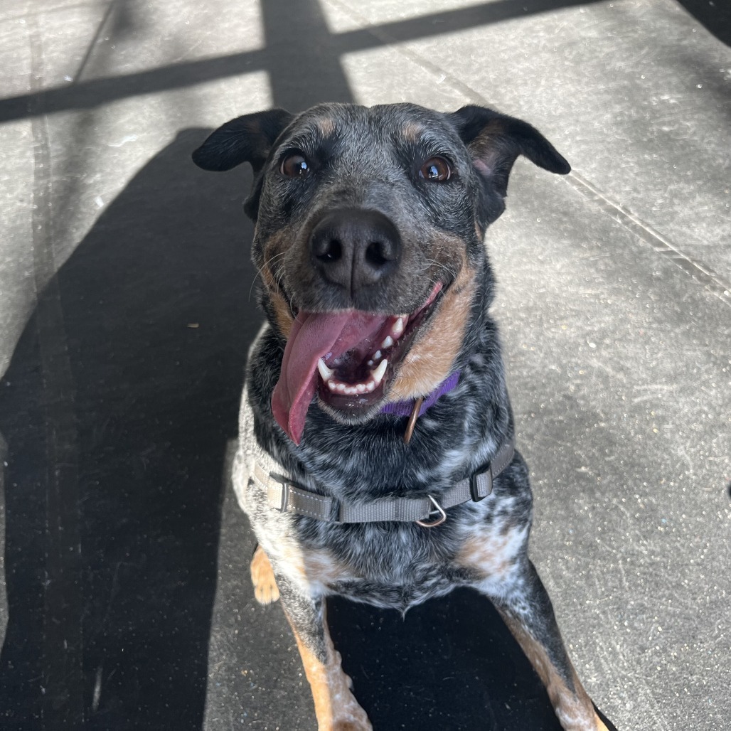 Zoey
