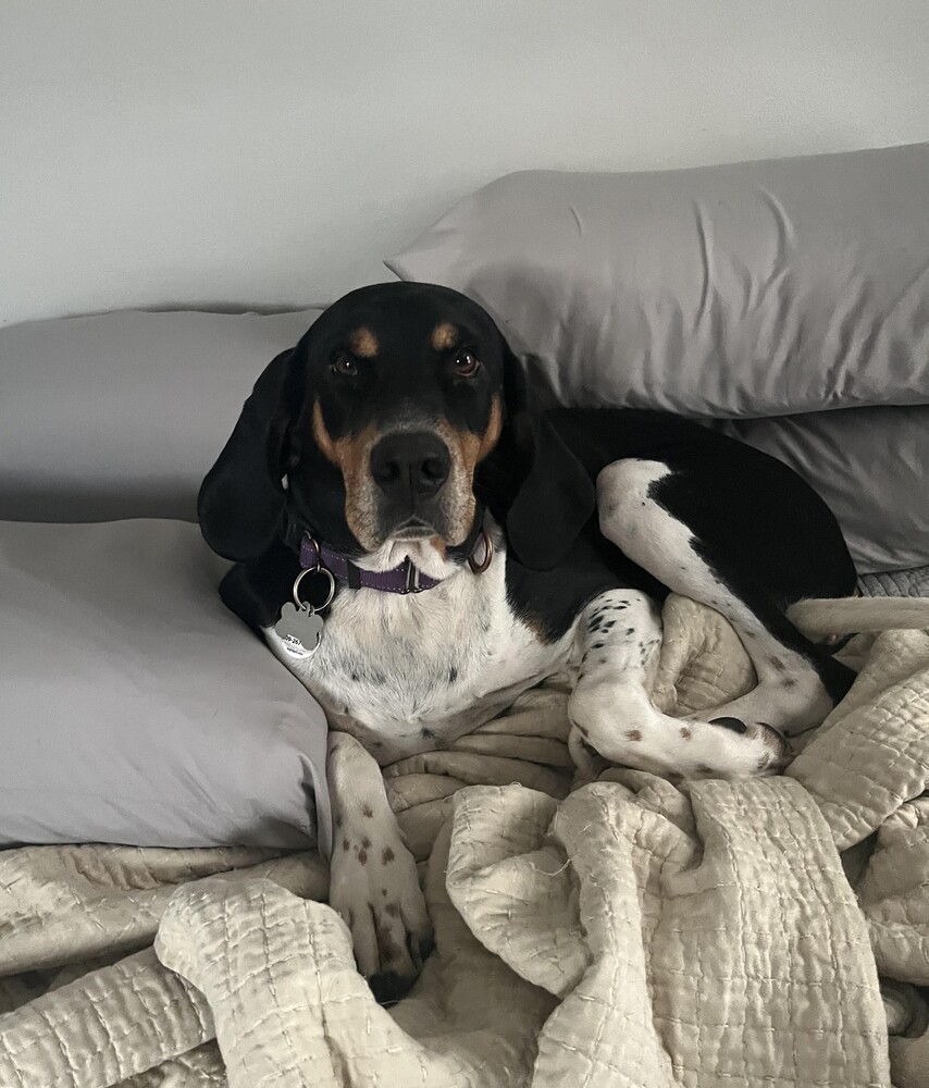 Winnie