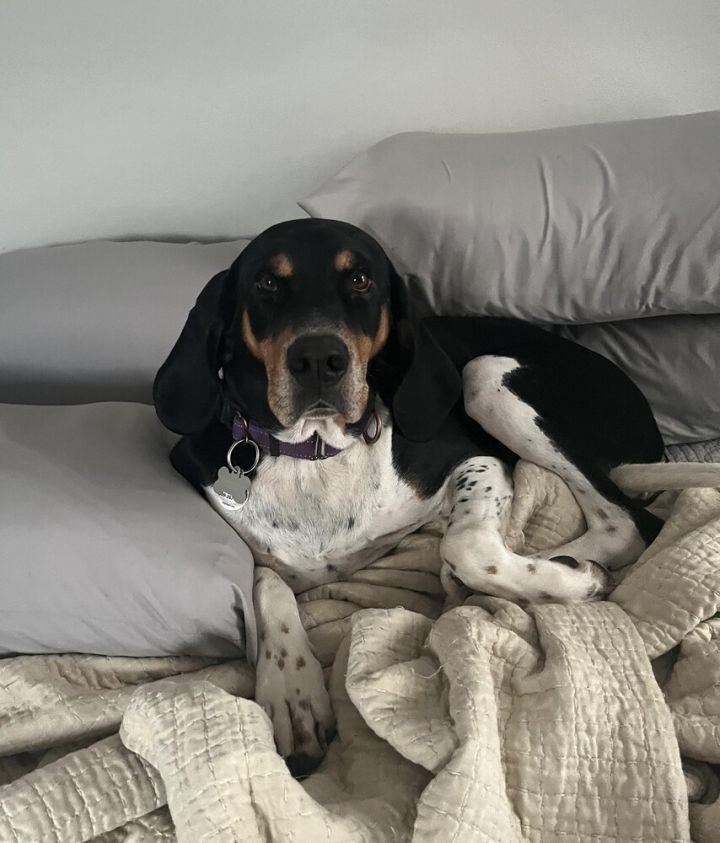 Winnie 1