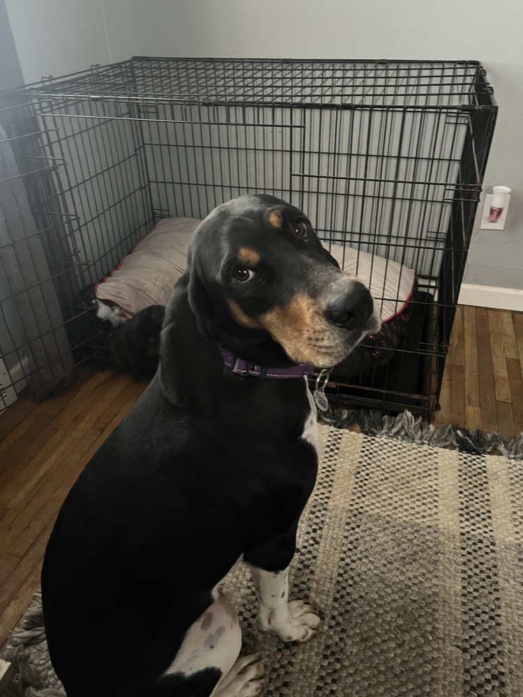Winnie