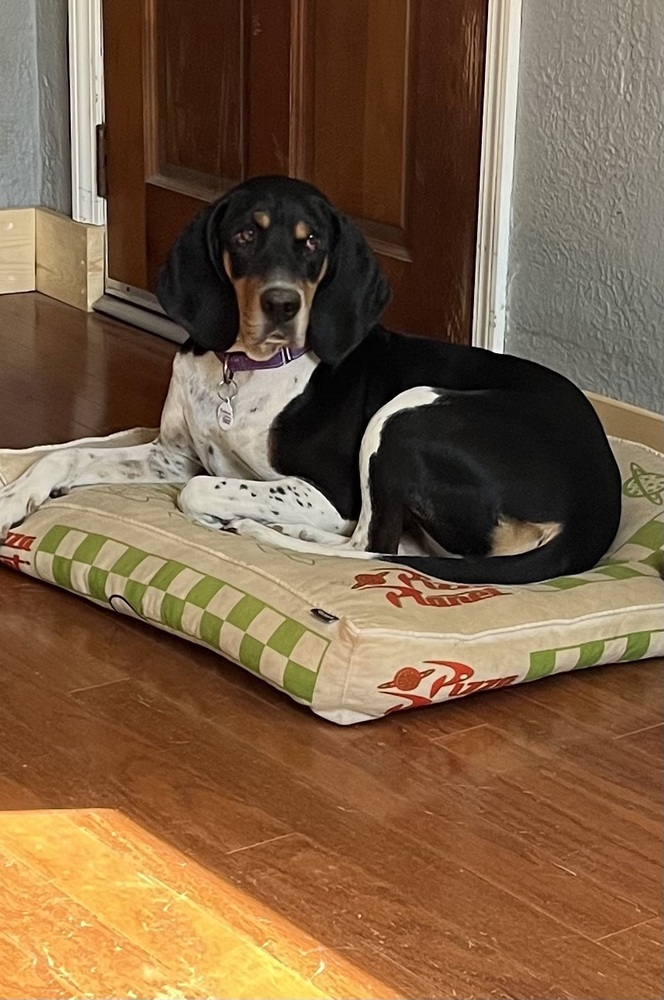 Winnie