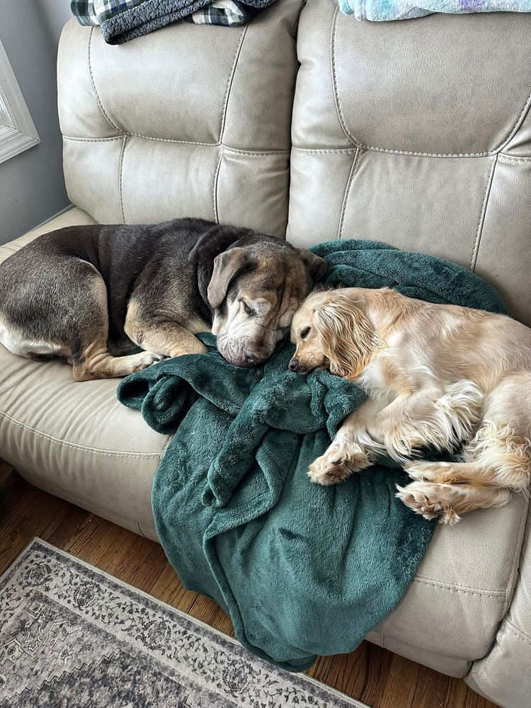 Jake (TX) aka Jack