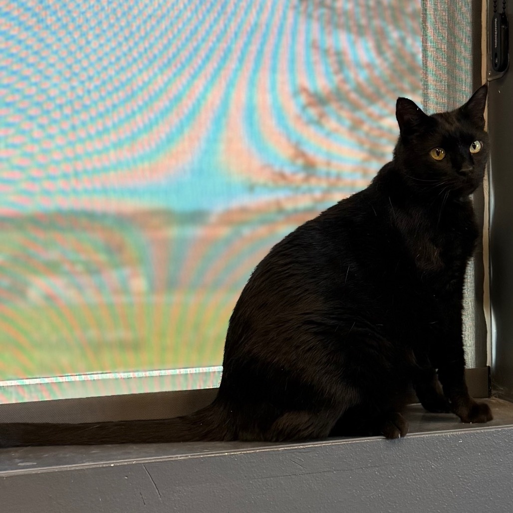 Binx