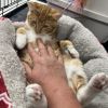 Fuzzy photo 2
