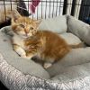 Fuzzy photo 6