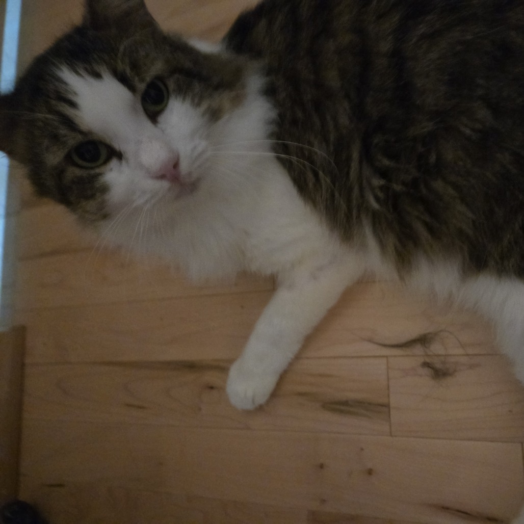 Howie