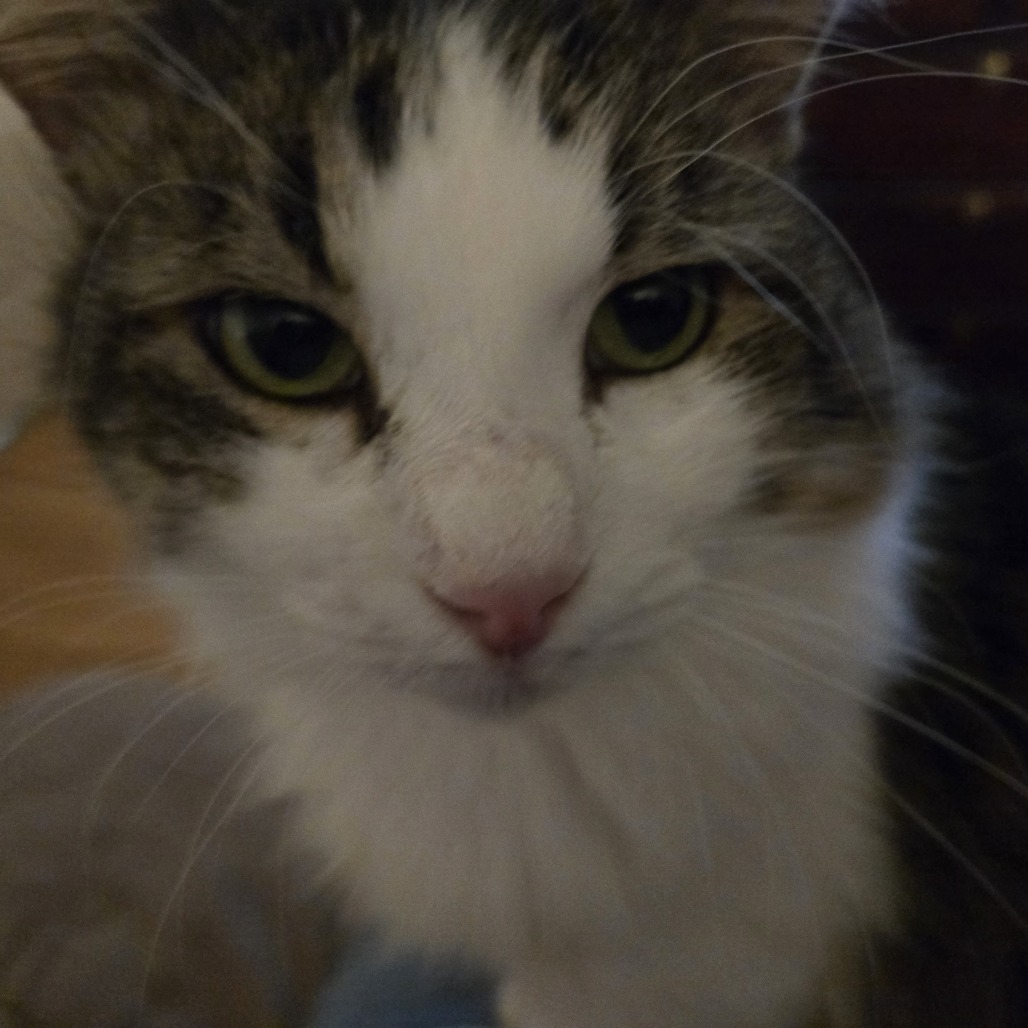 Howie