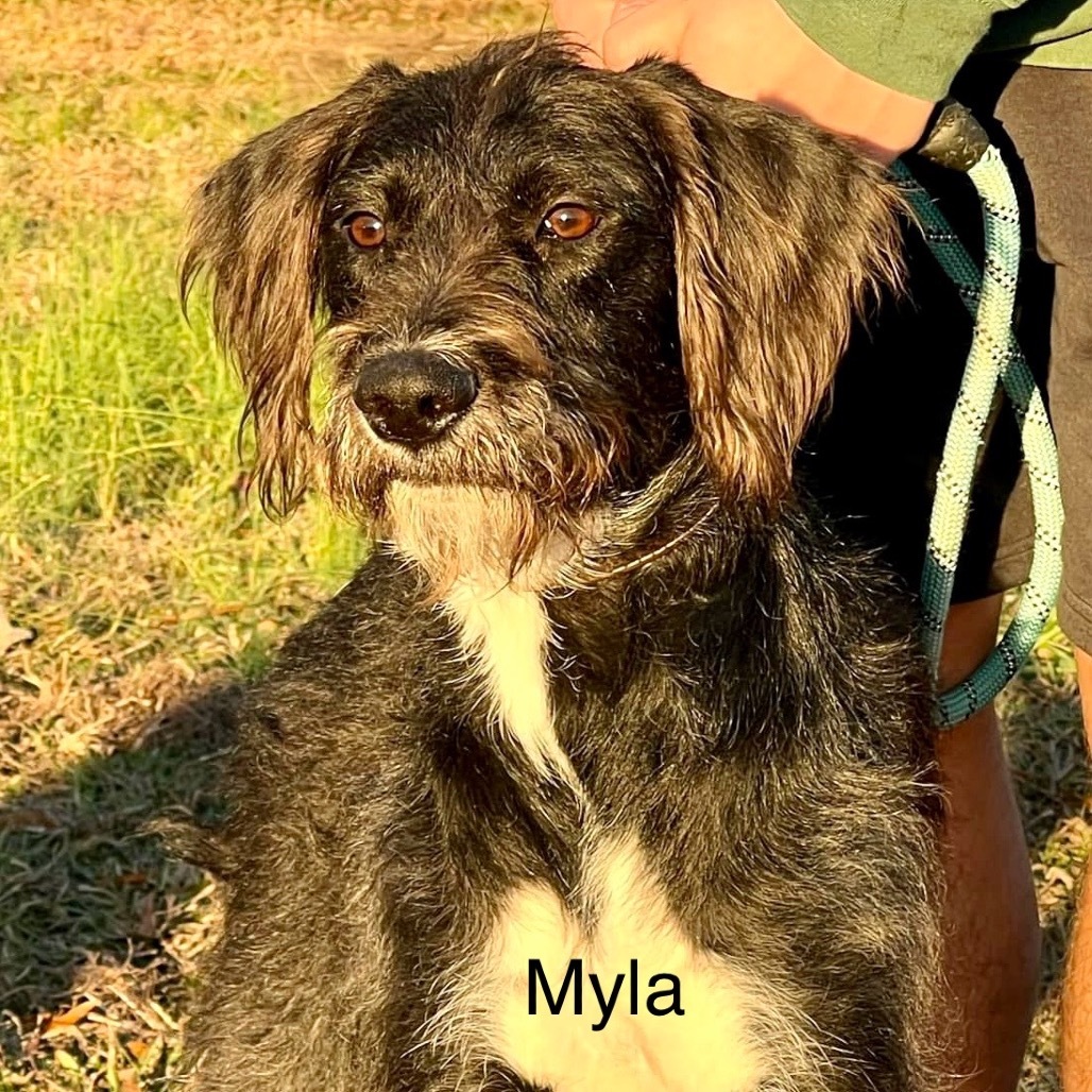 Myla