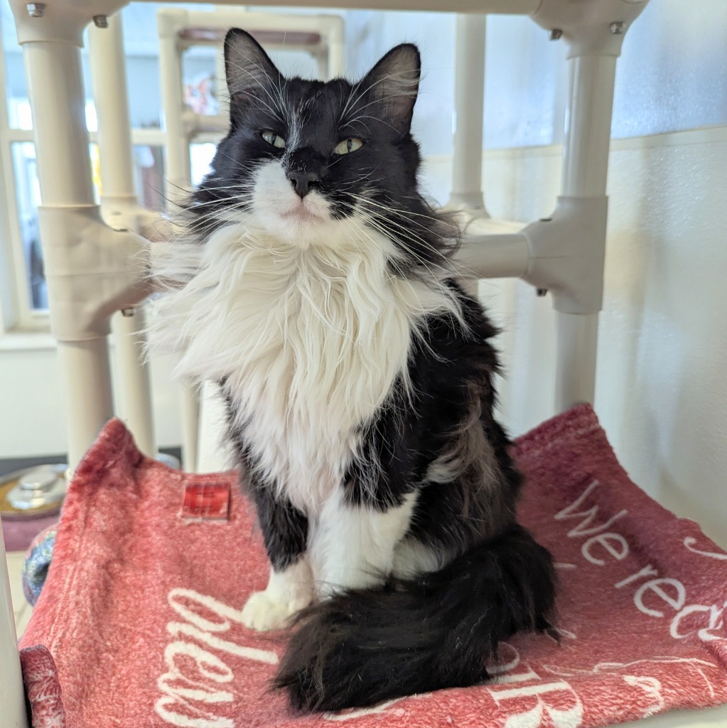 Pud E Tat