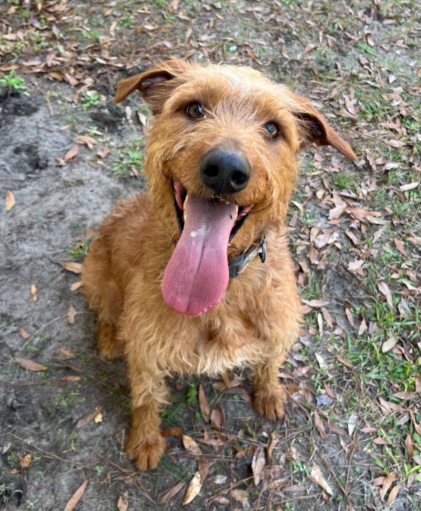 Milo