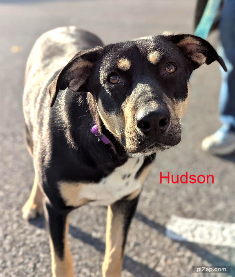 Hudson (mm)