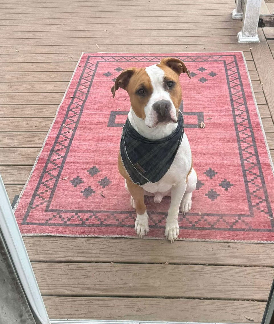 Archie