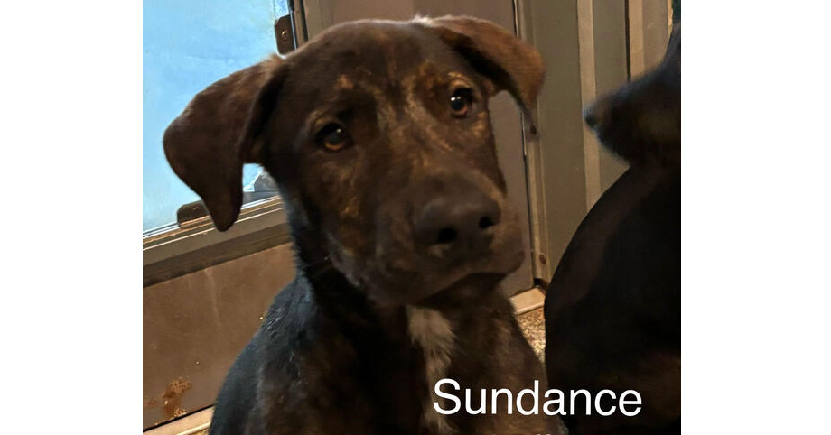 Sundance