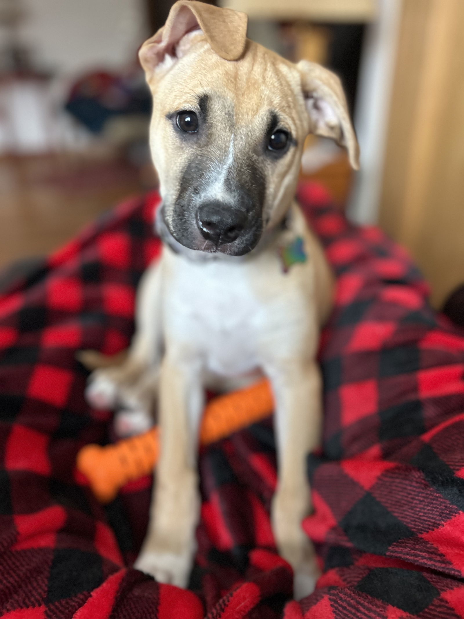 Avery