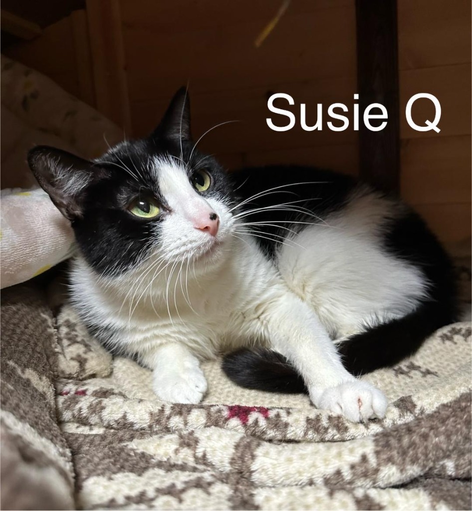 Susie Q